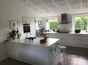New House in Roskilde, Roskilde